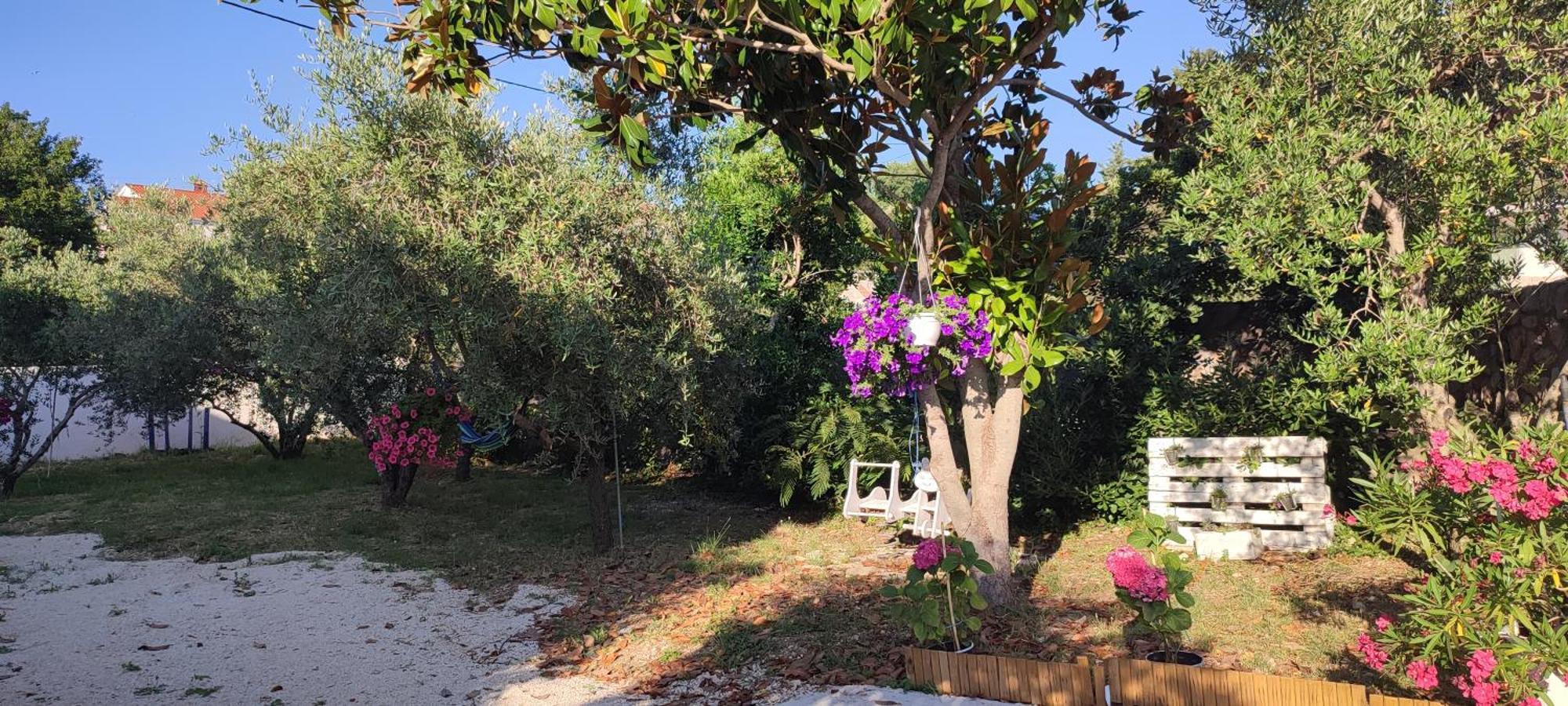Apartments Villa Mihaela Banj Екстериор снимка